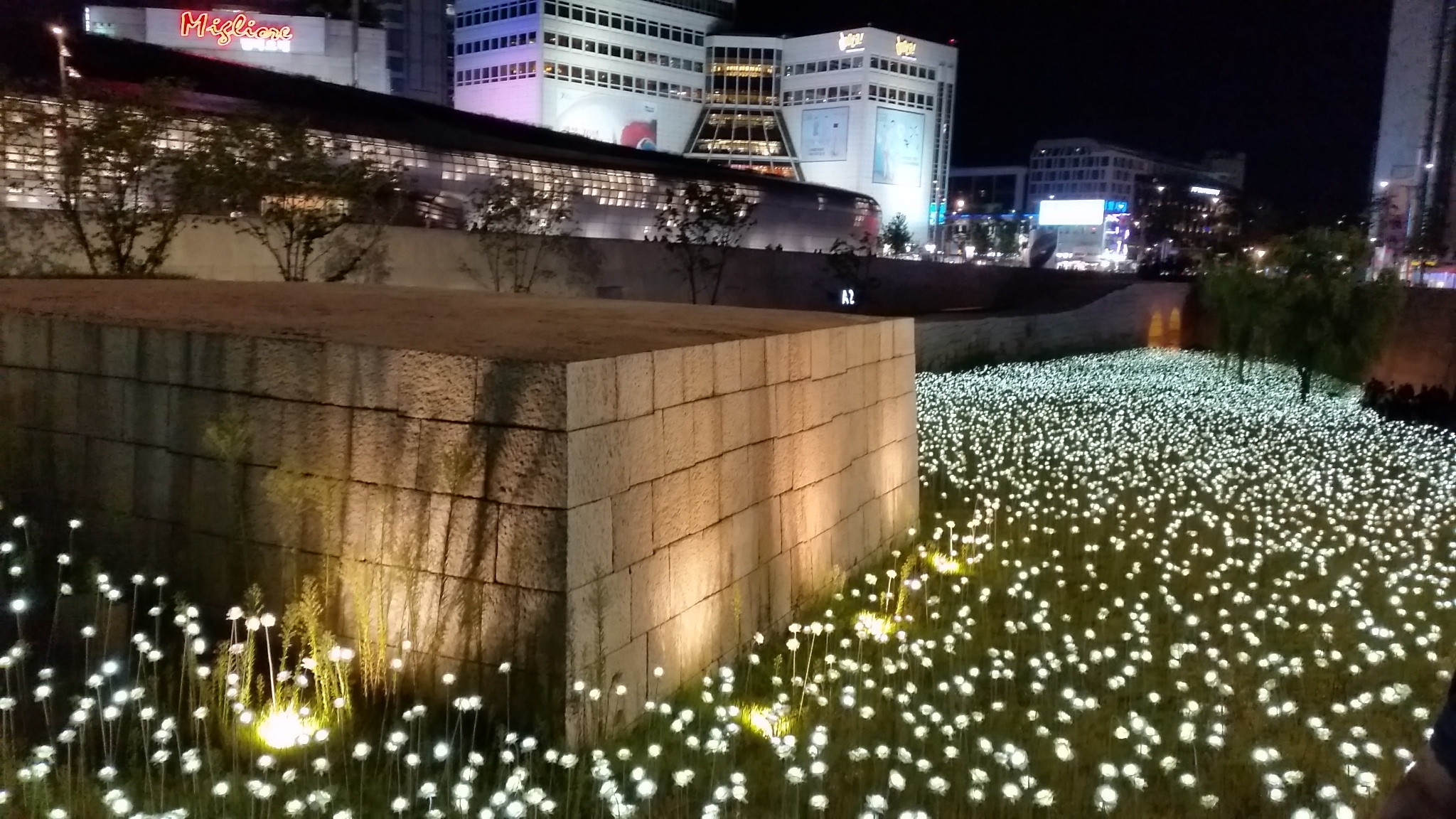 東大門デザインプラザ(DDP) LEDバラ庭園